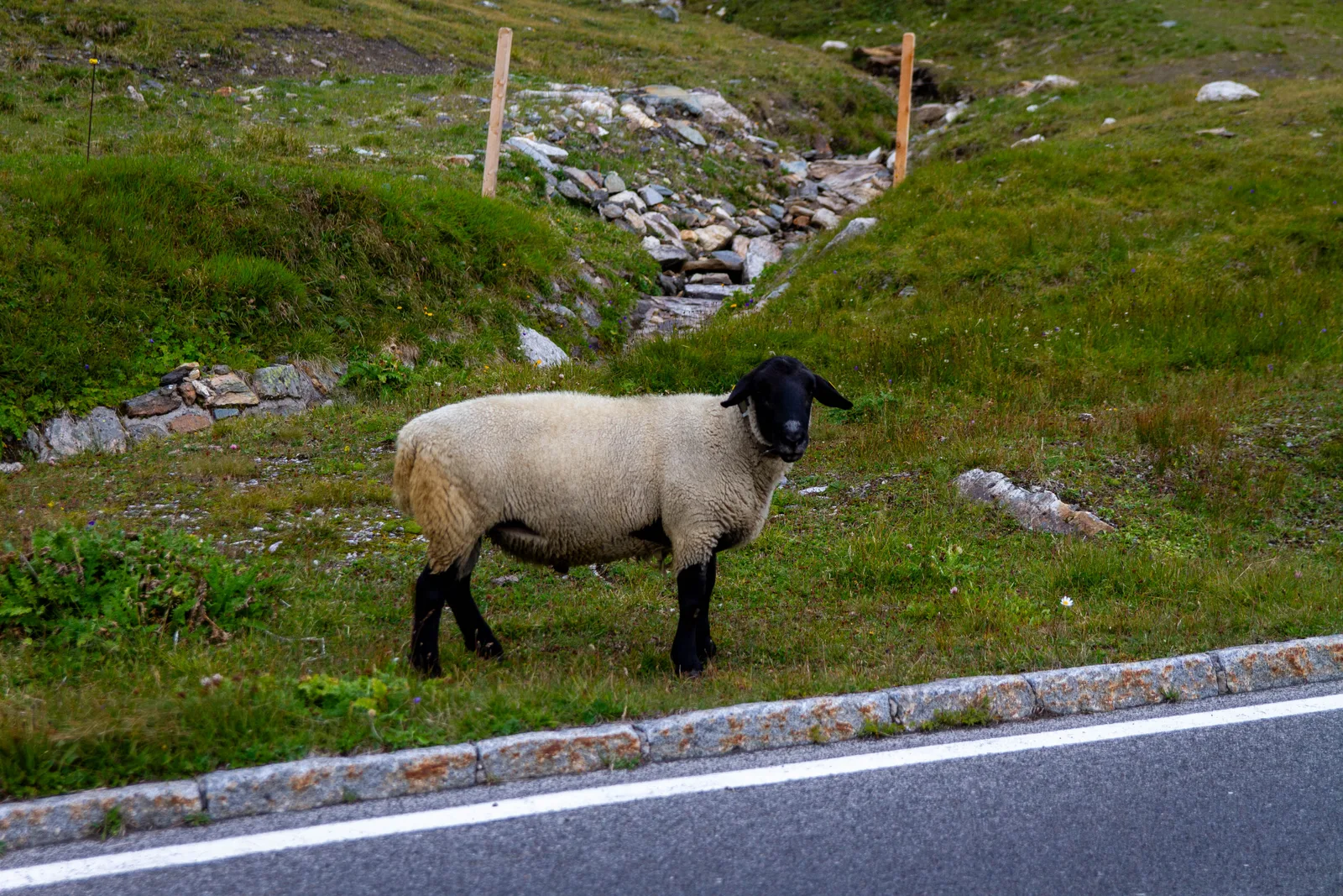 Grossglockner