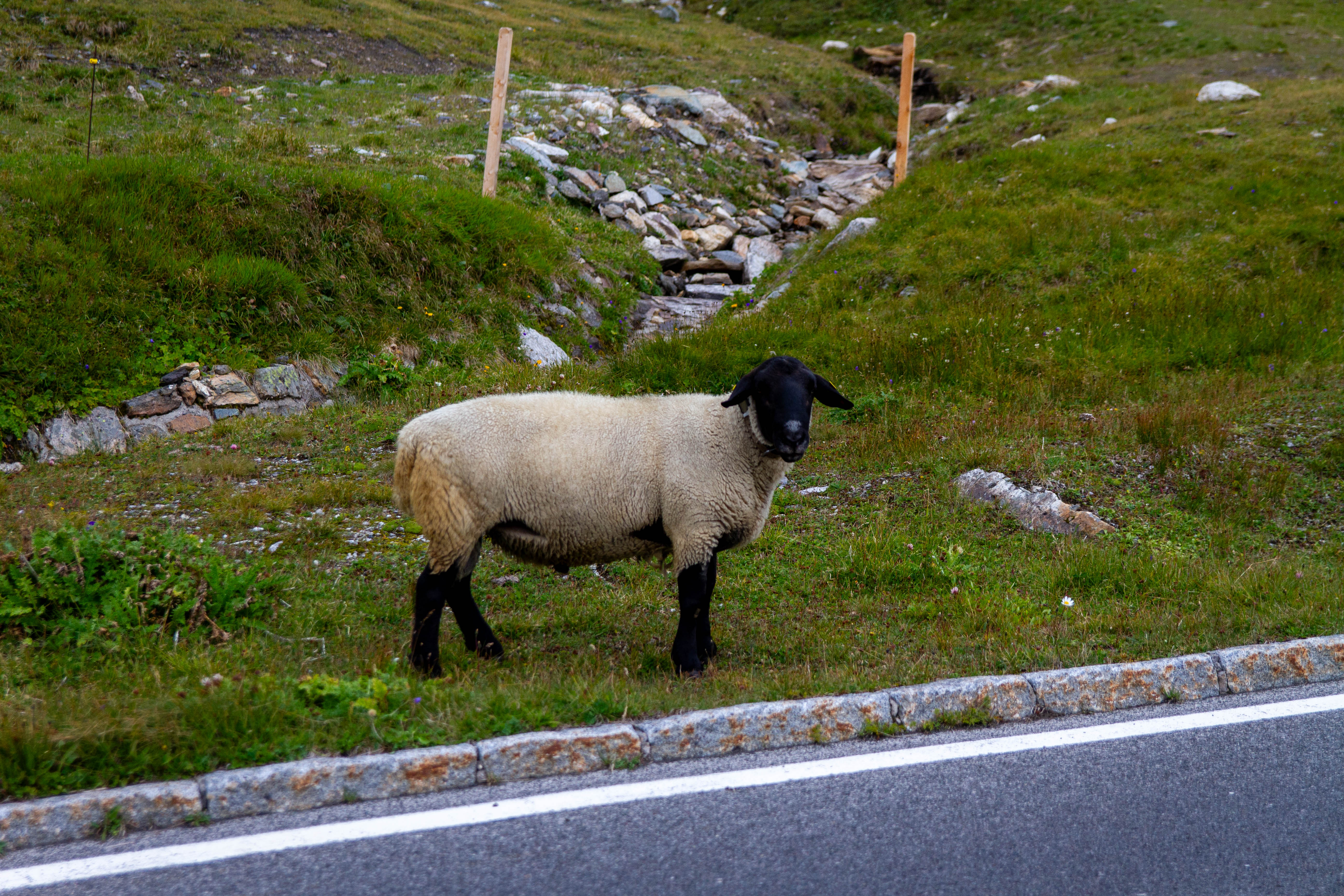 Grossglockner