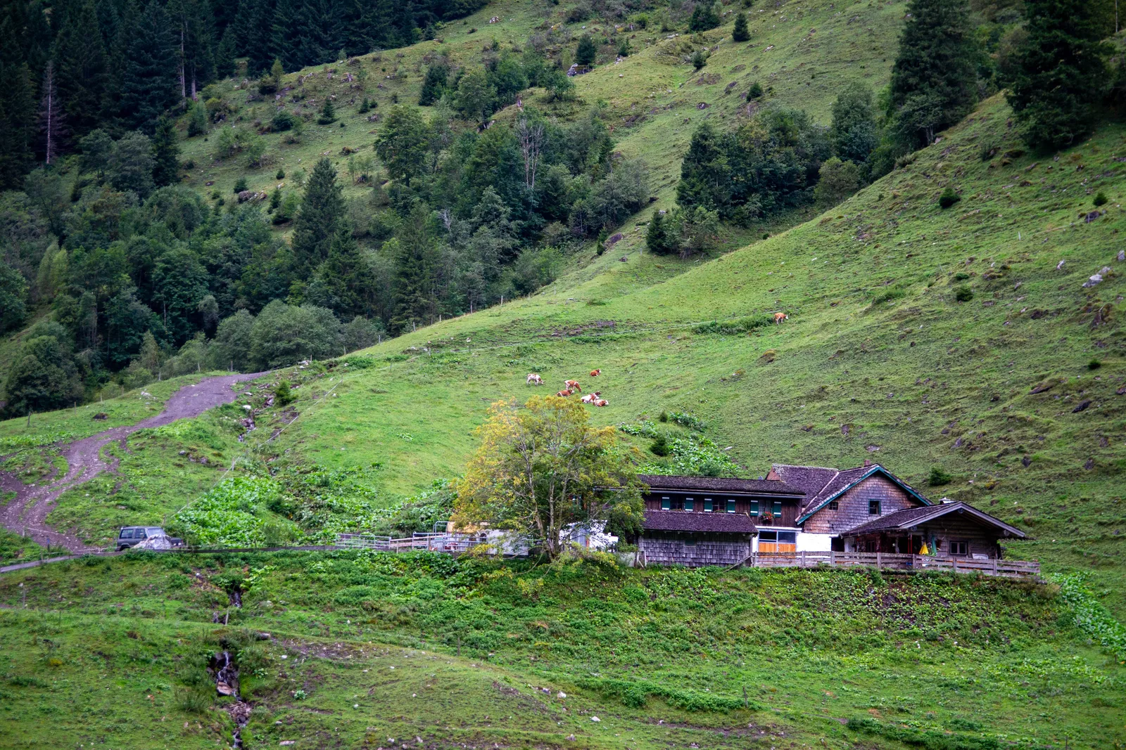 Grossglockner