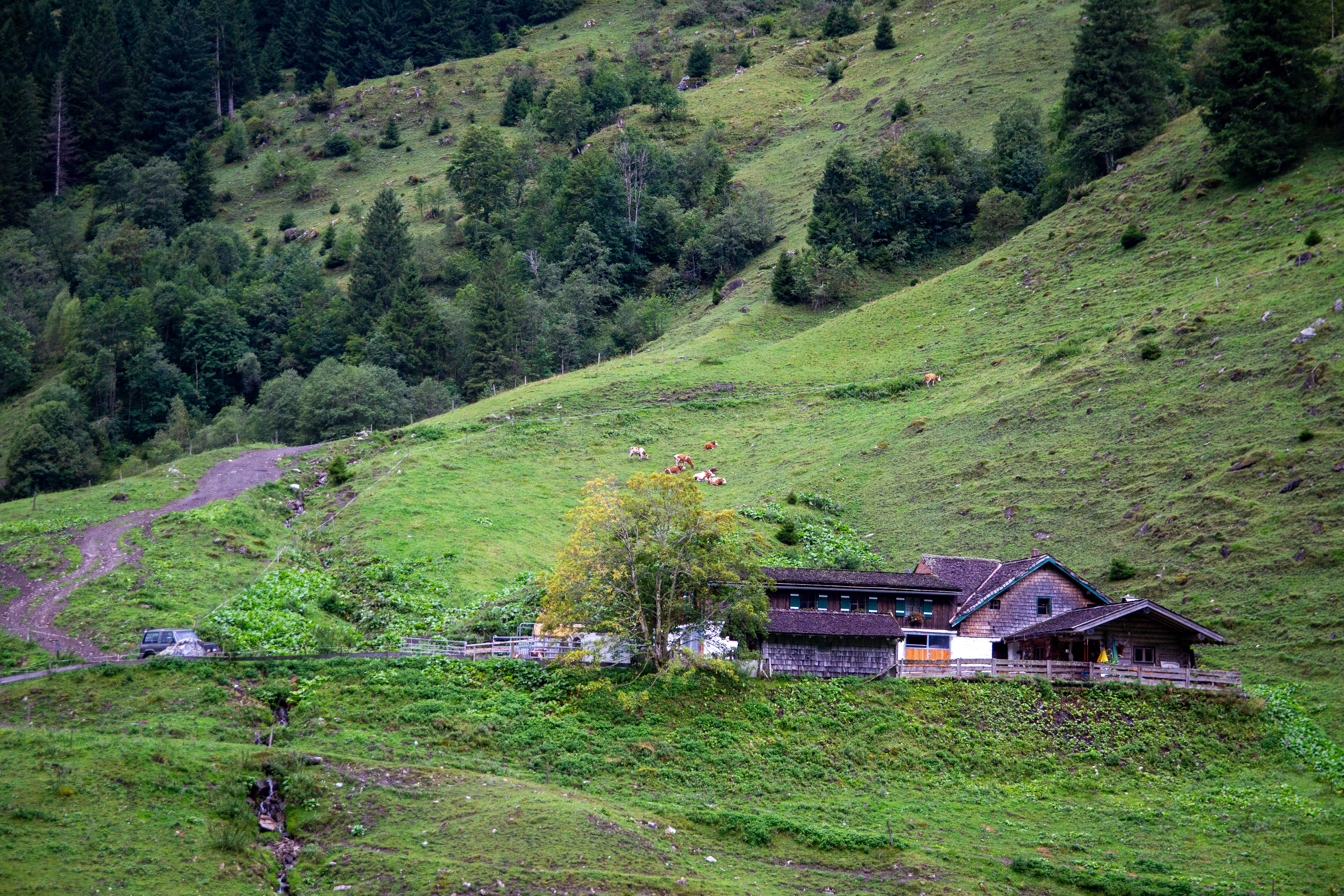 Grossglockner
