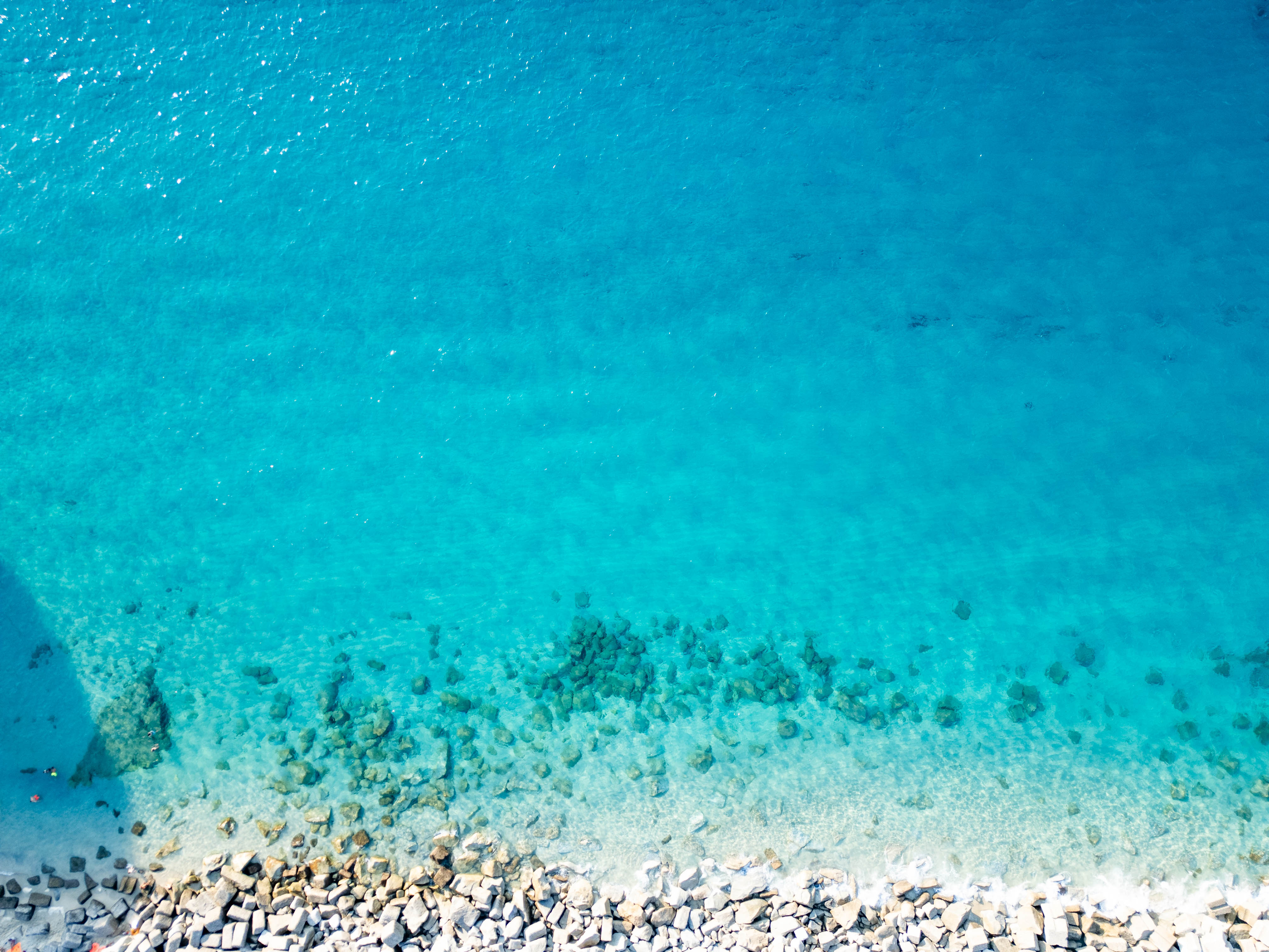 Tropea
