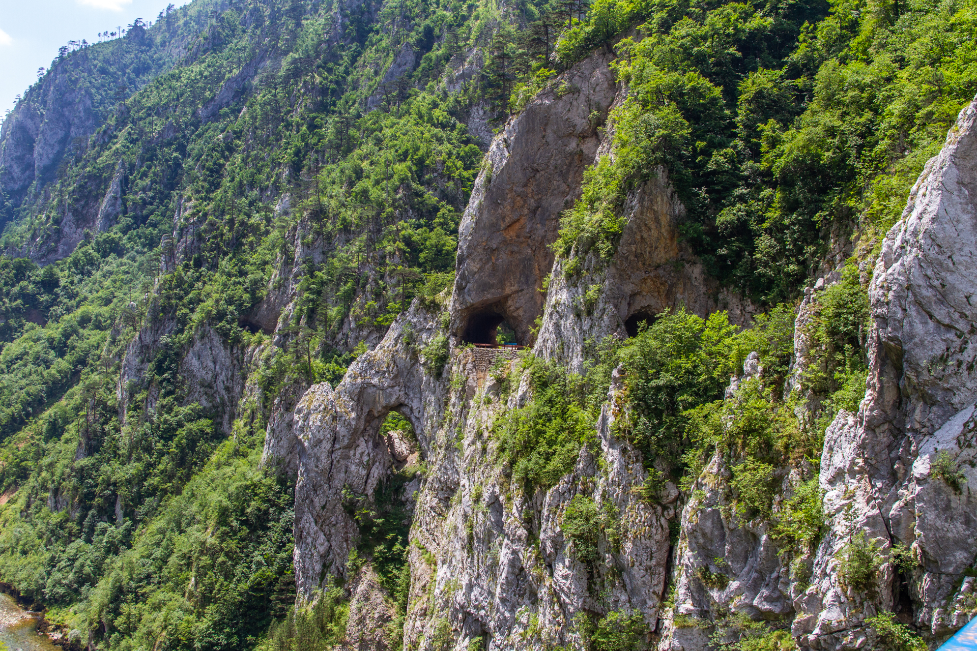 Crna Gora - Pivsko jezero